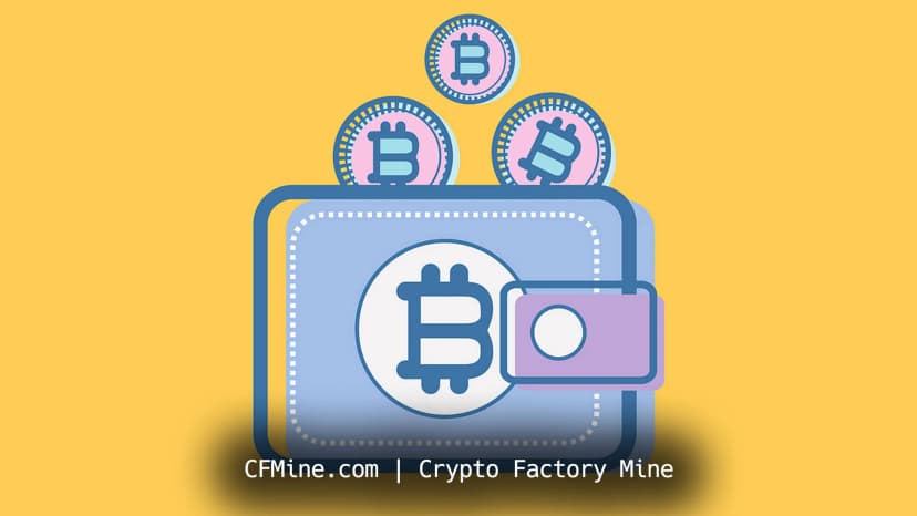 Review Wallet Mining Download + Cryptocurrency Acquisition!